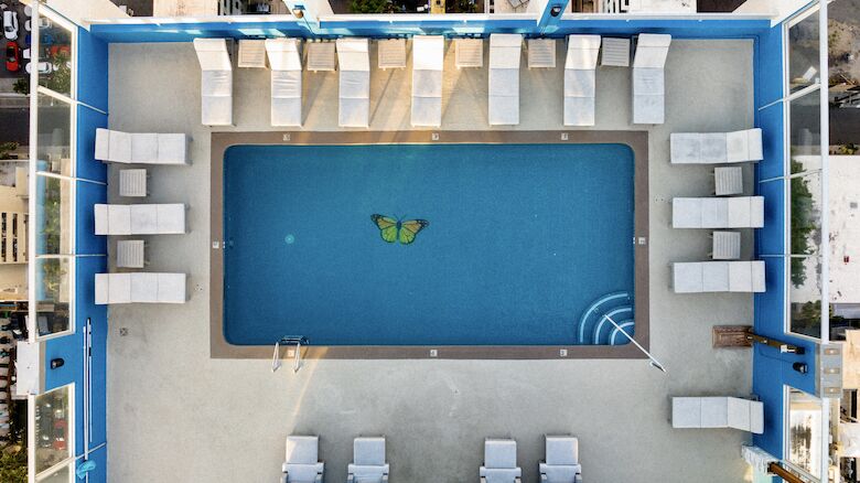 A rooftop swimming pool surrounded by loungers, with a butterfly design at the bottom of the pool, viewed from above.