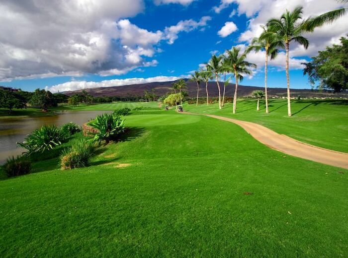 A picturesque golf course with a winding path, lush green grass, palm trees, and a small pond under a cloudy but bright blue sky.